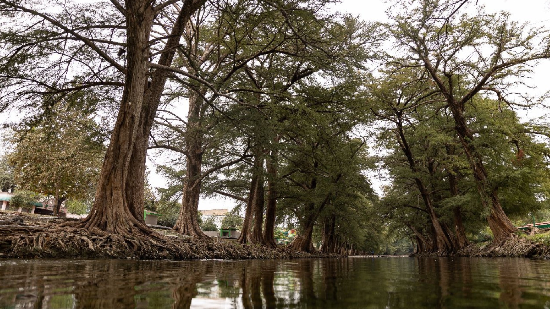 Paseo Río La Silla – Parque Tolteca