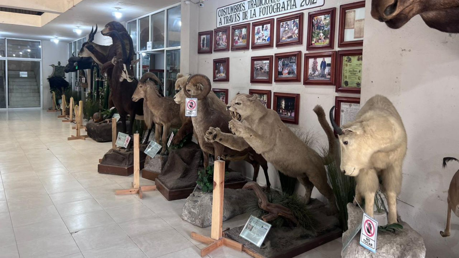 Museo de la Presidencia