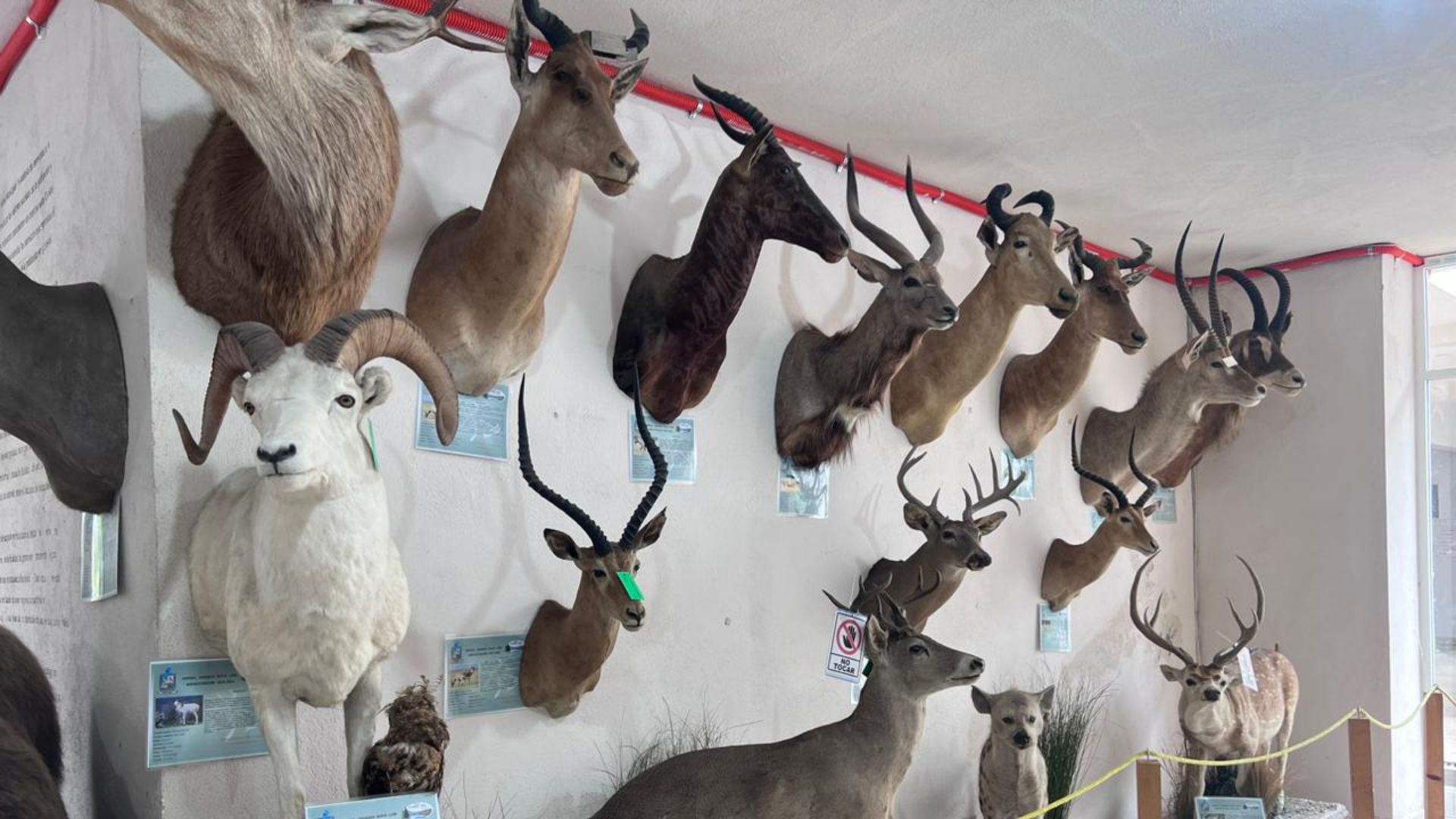 Museo de la Presidencia