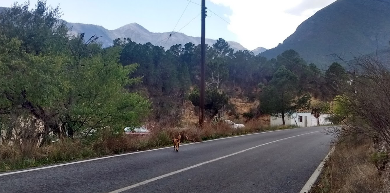 San José de las Boquillas