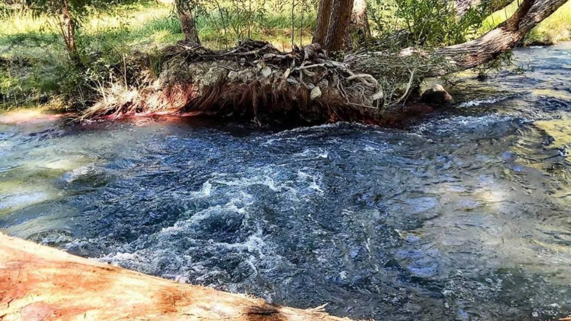 Ojo de Agua San Lorenzo