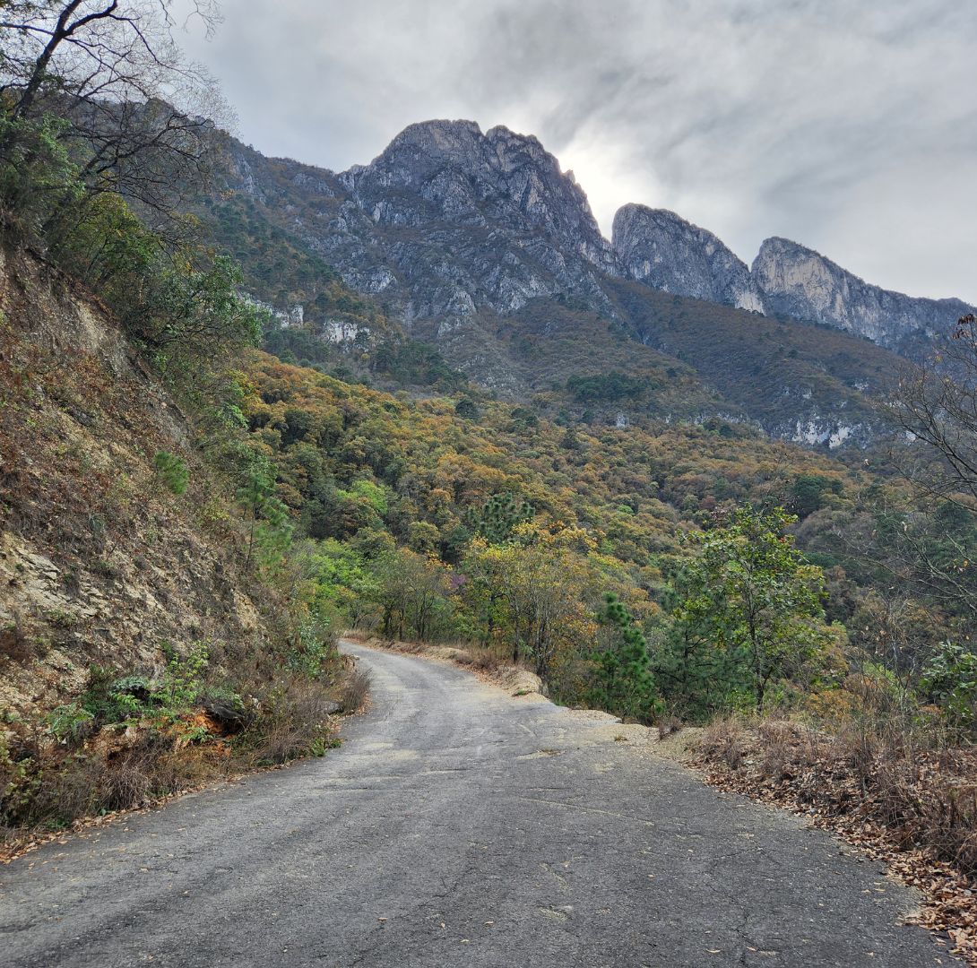 Parque Ecológico Chipinque