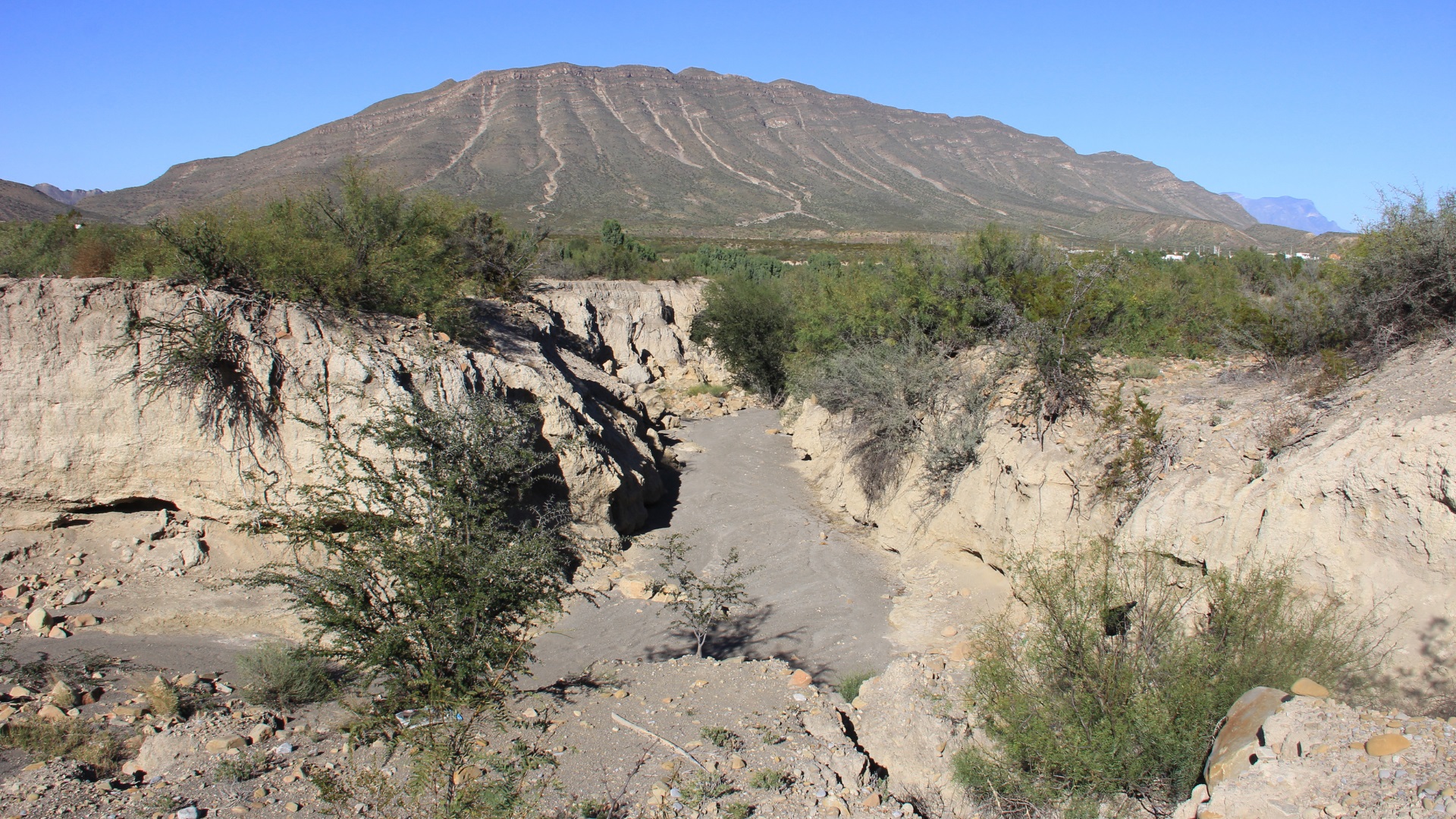 Icamole Nuevo León.