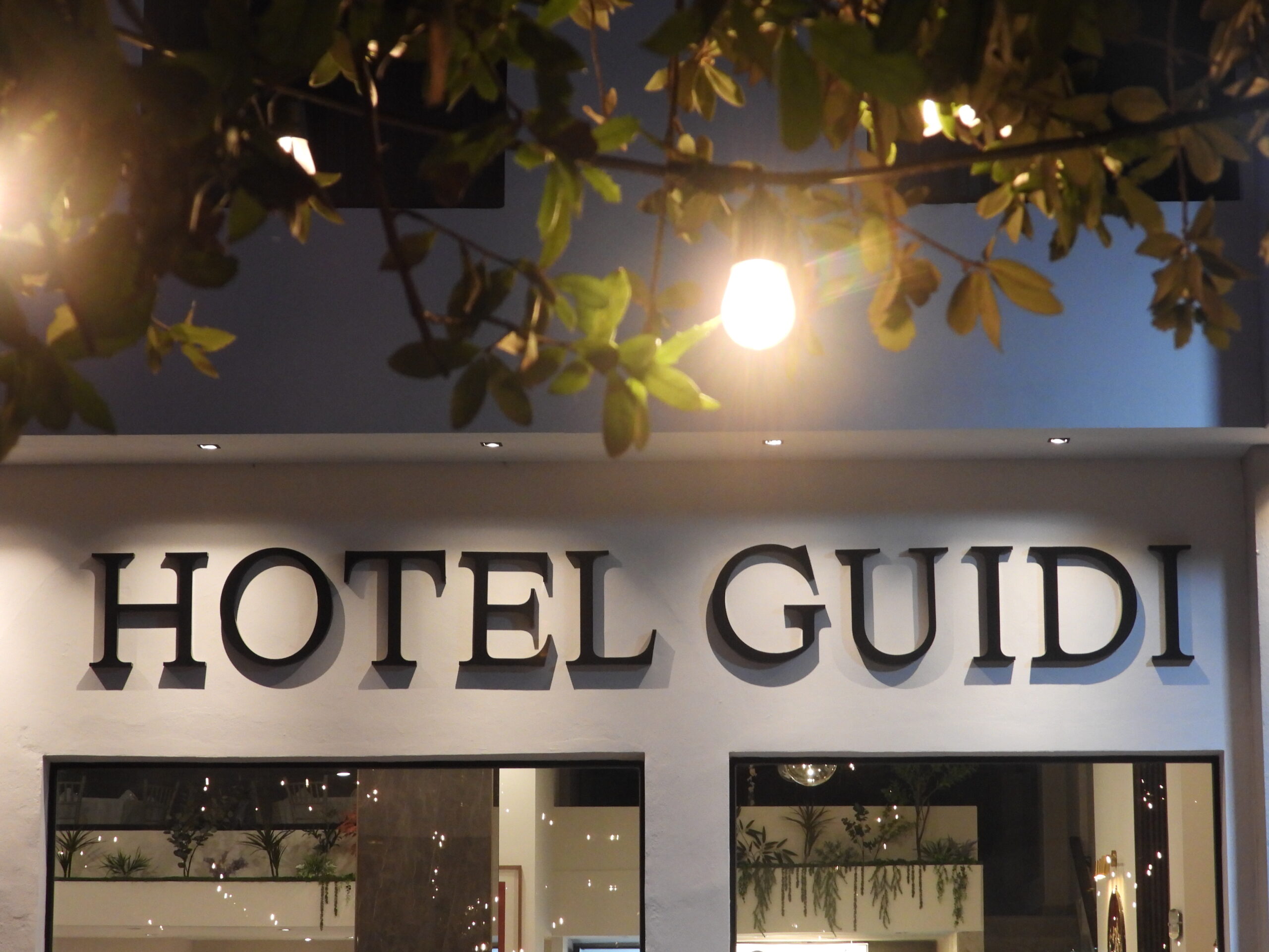 Hotel Guidi