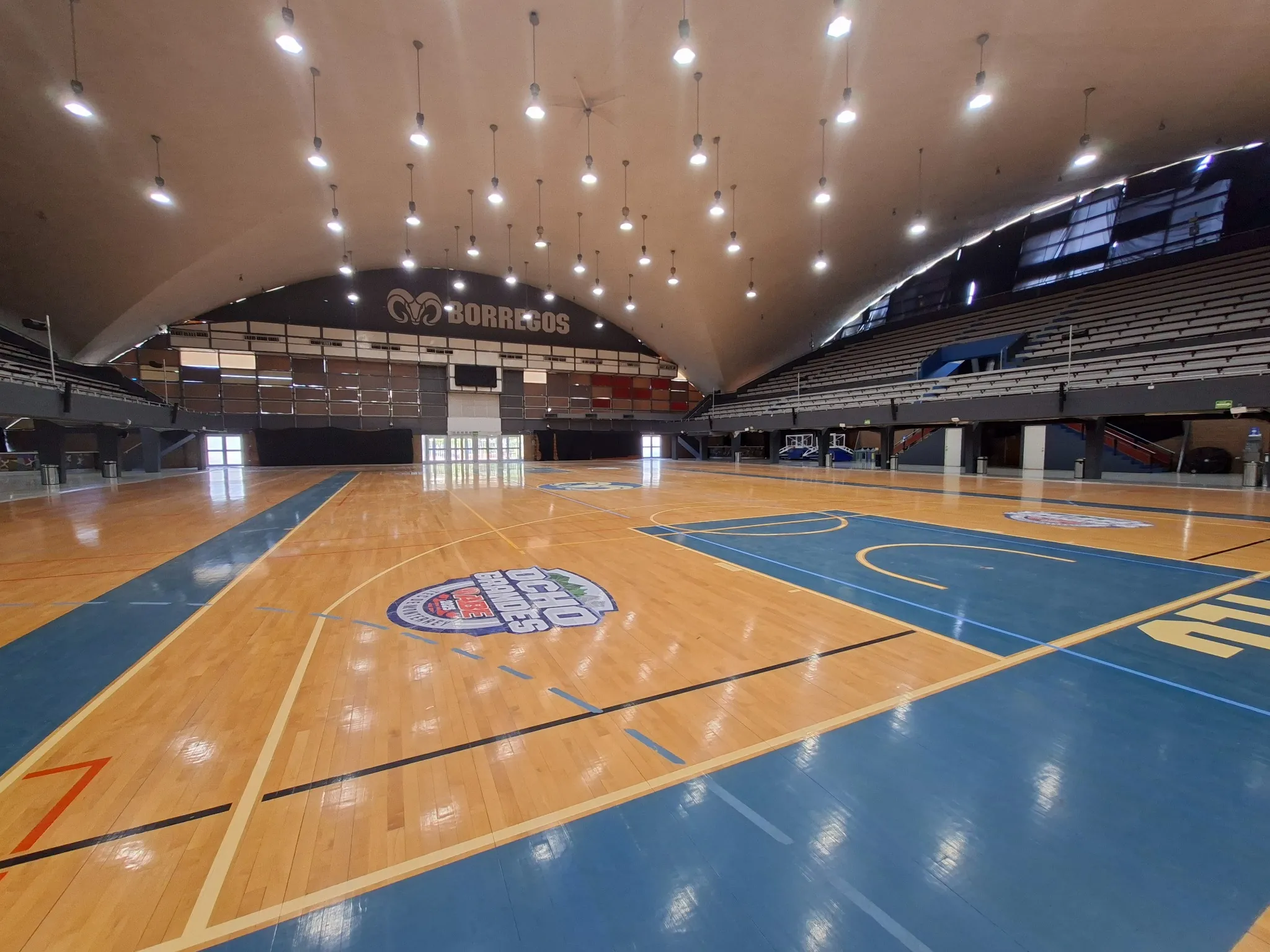 Arena Borregos