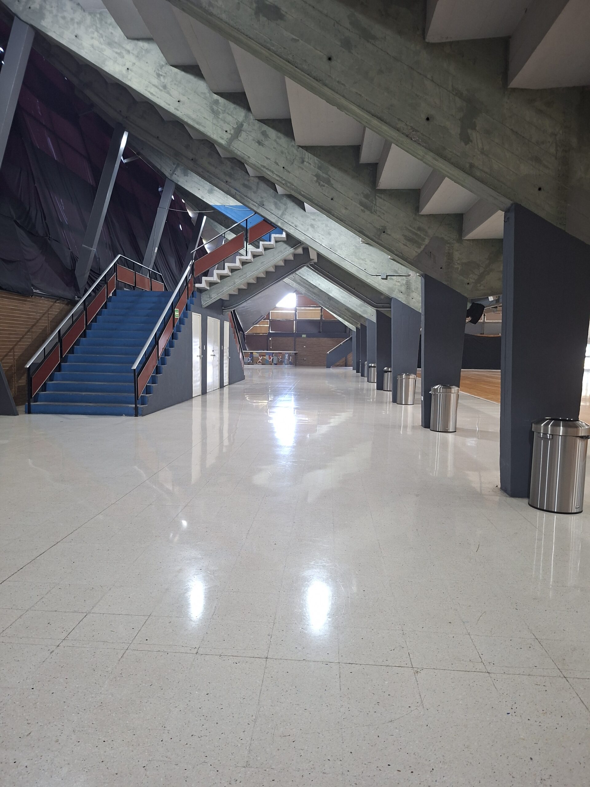 Arena Borregos