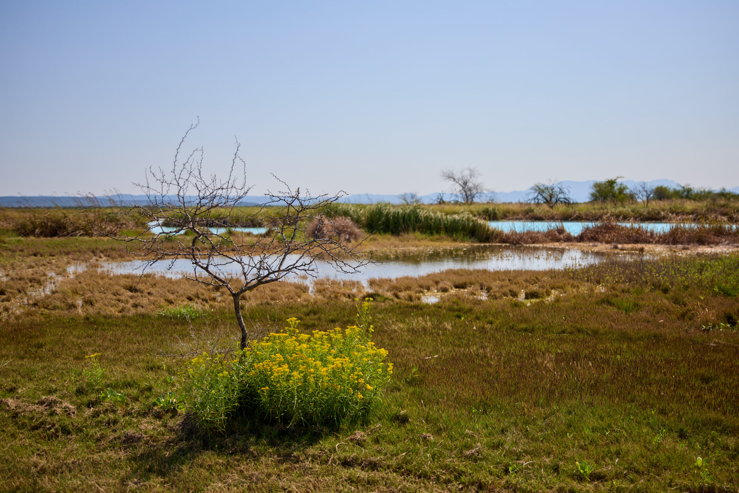 Rancho Sotolar