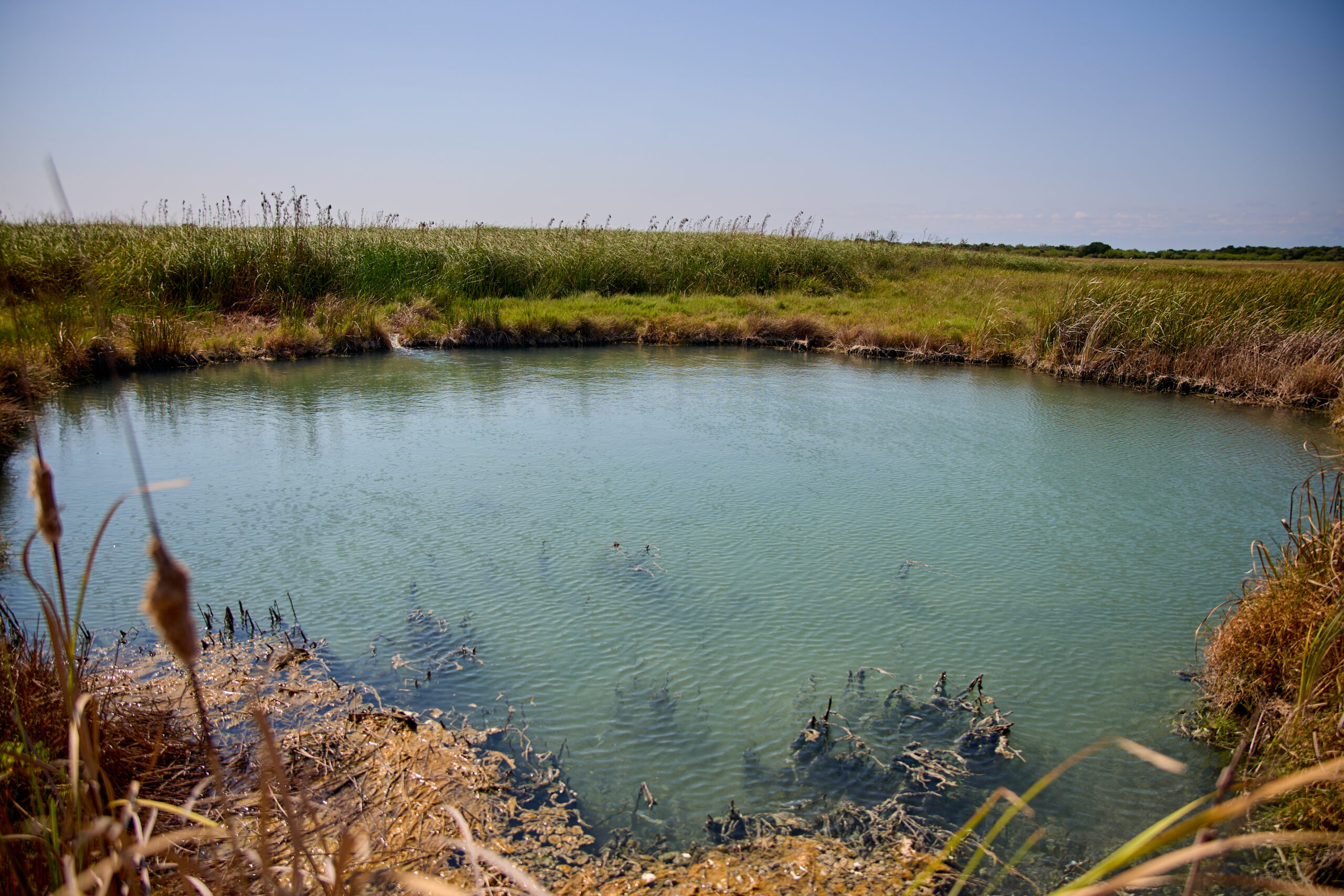 BAÑOS DE SAN IGNACIO