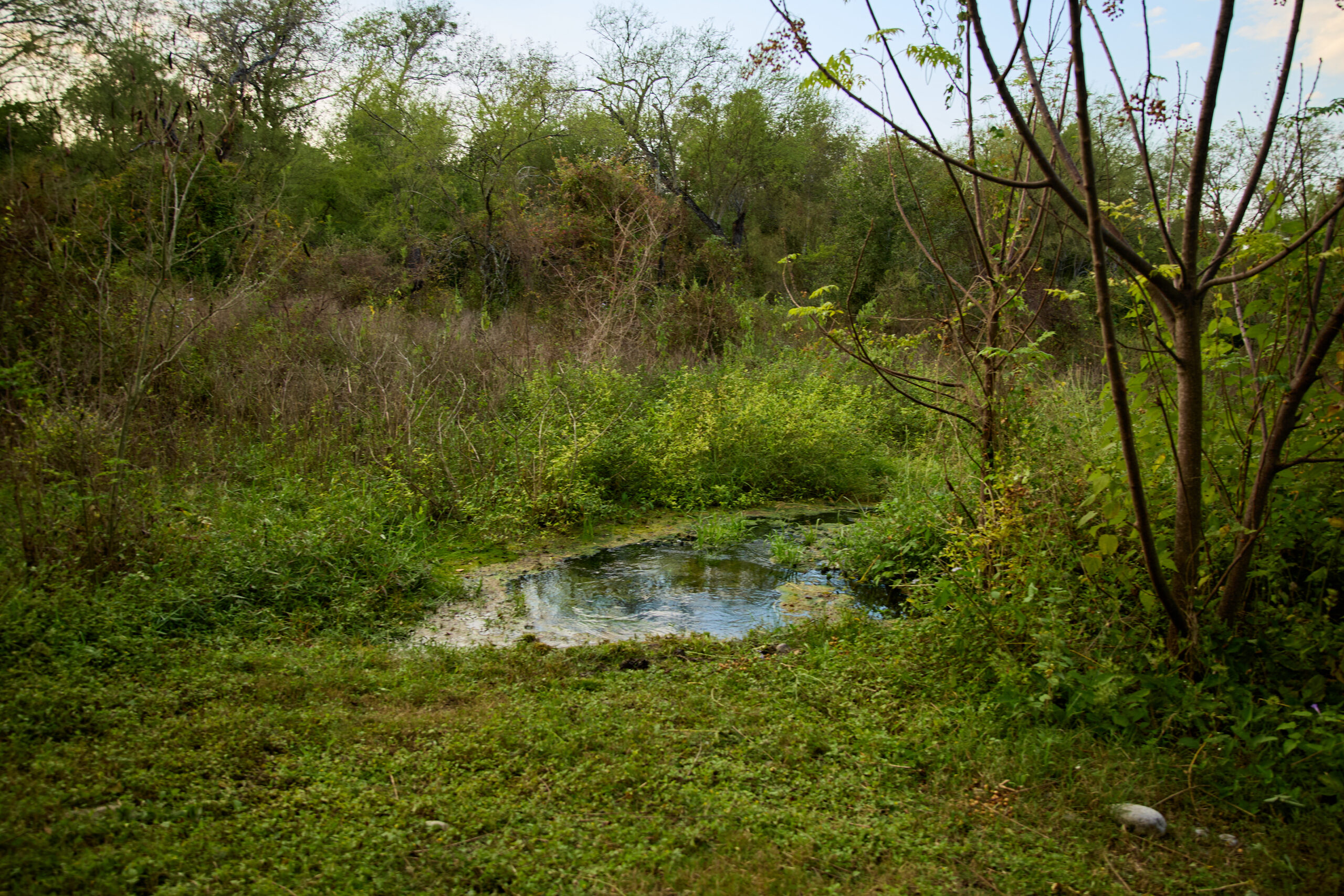 Hacienda del valle