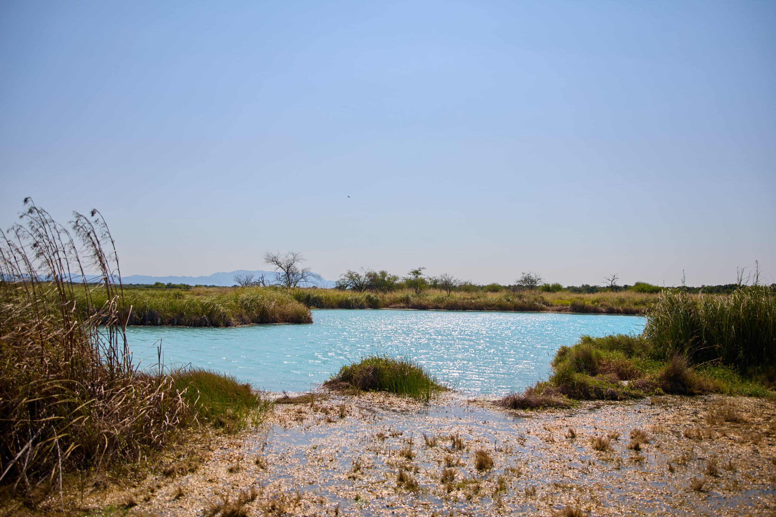 Rancho Sotolar