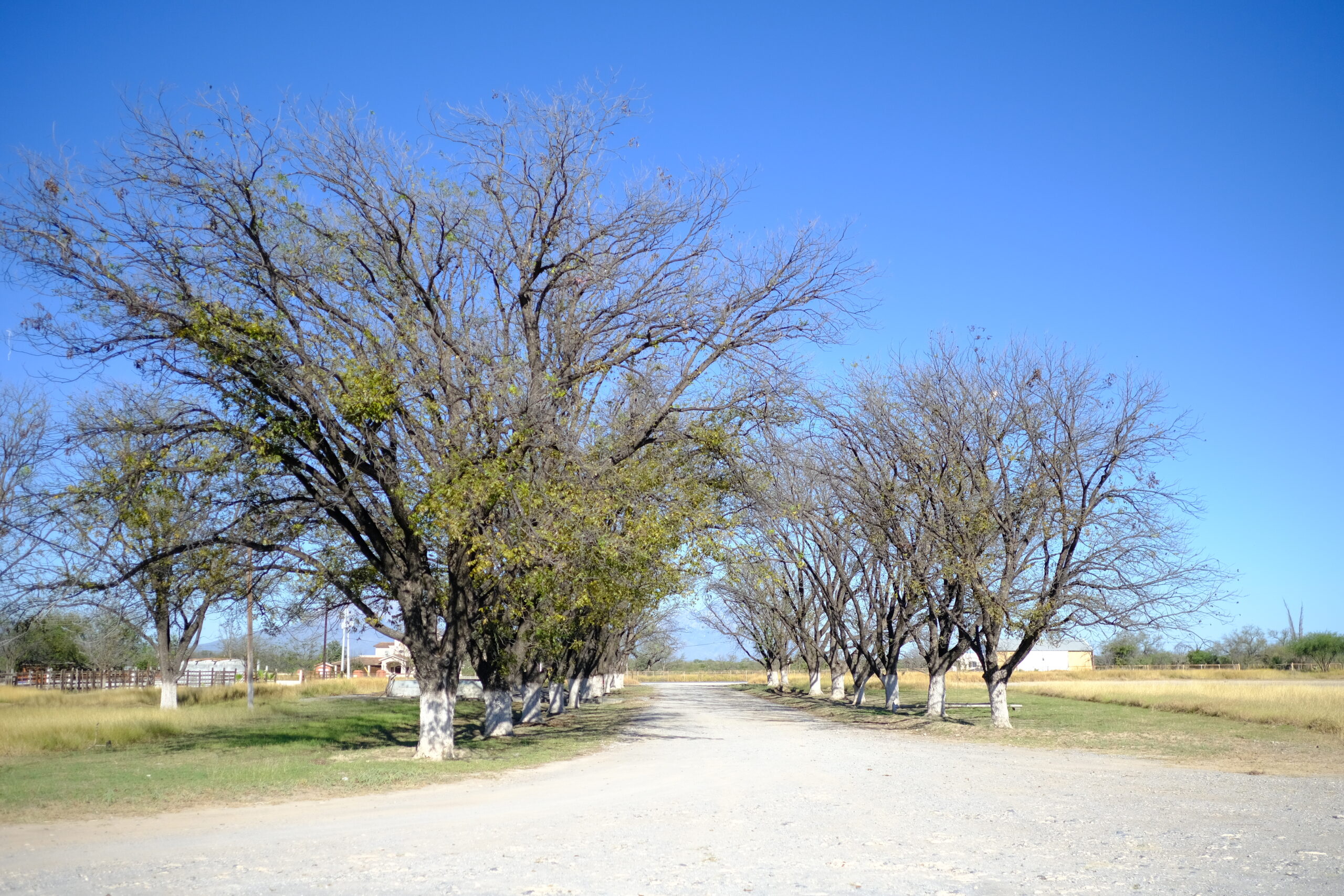 Hacienda San Juanita-Mezcal la Guadalupana