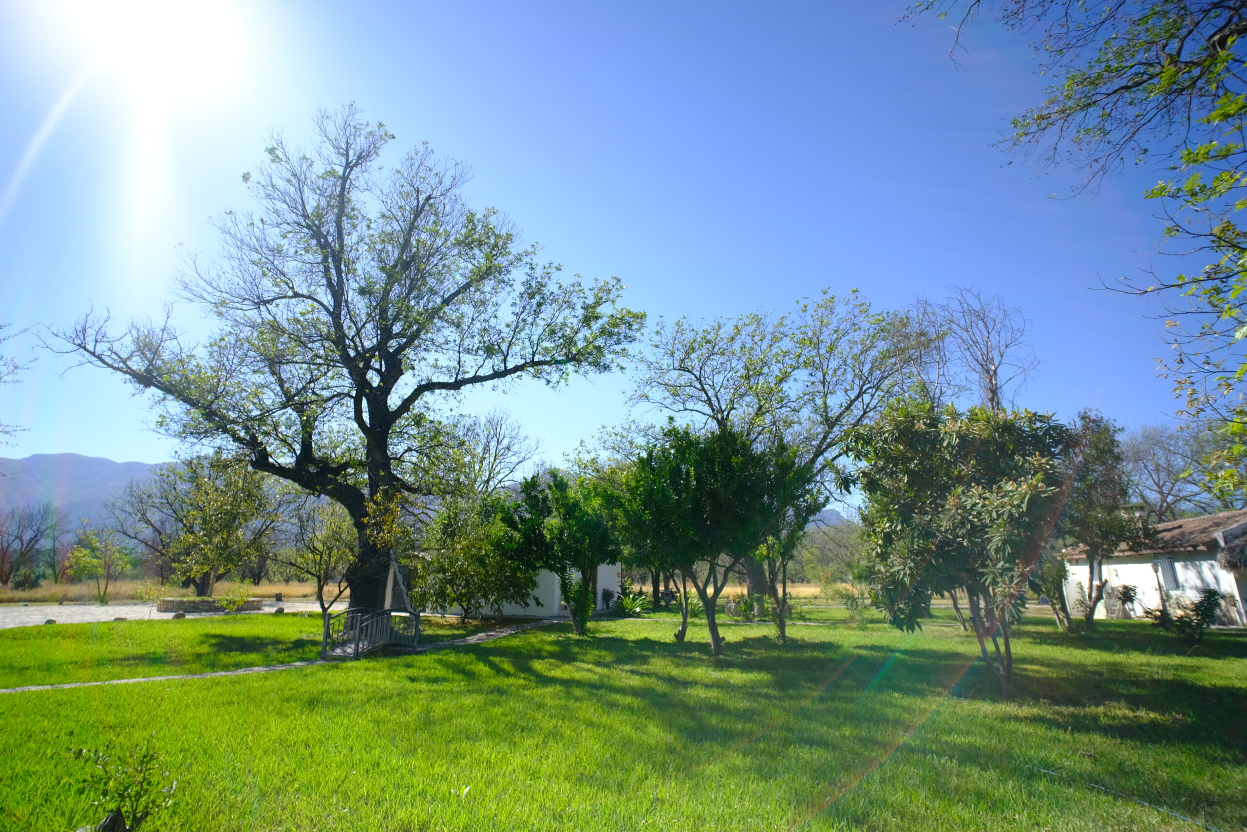 Quinta Villa Maria