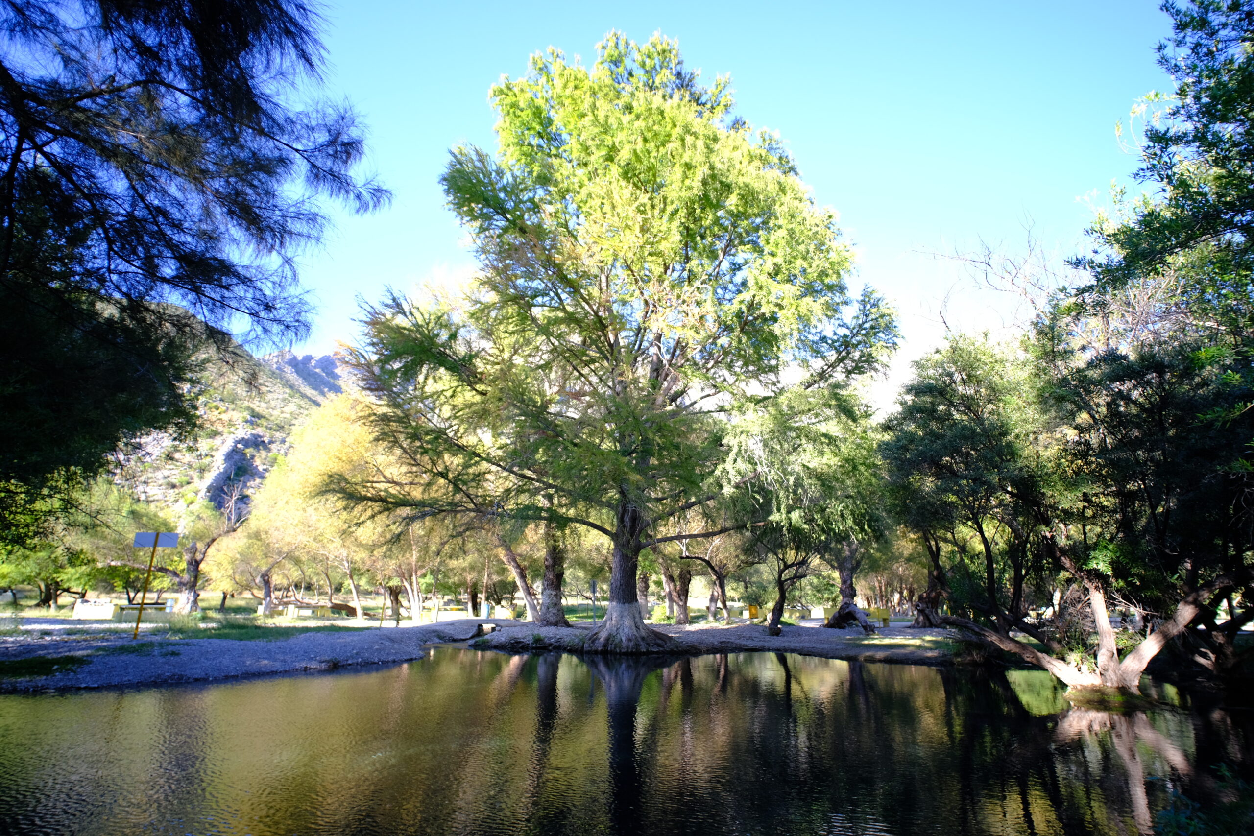 Ojo de agua San Lorenzo