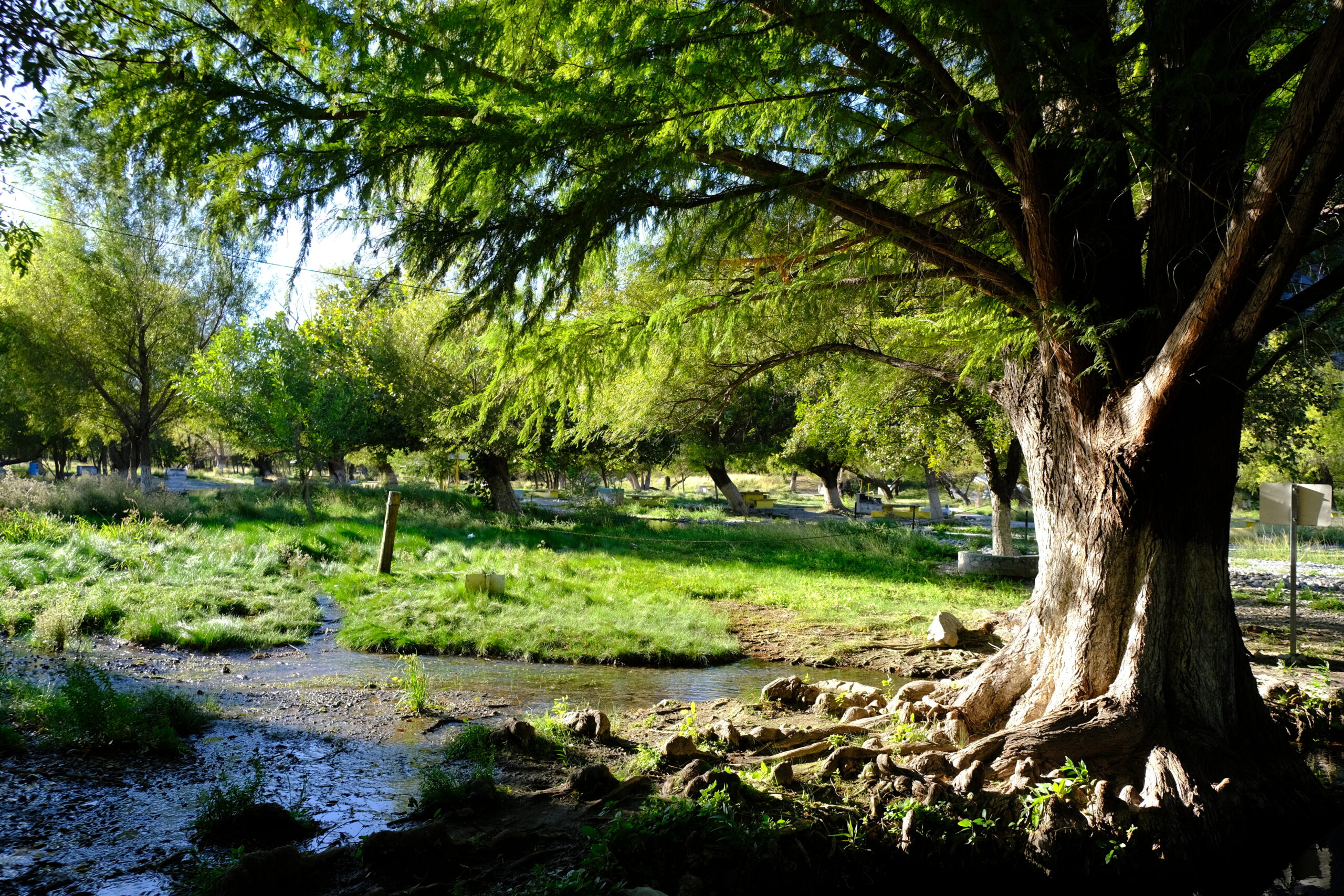 Ojo de agua San Lorenzo