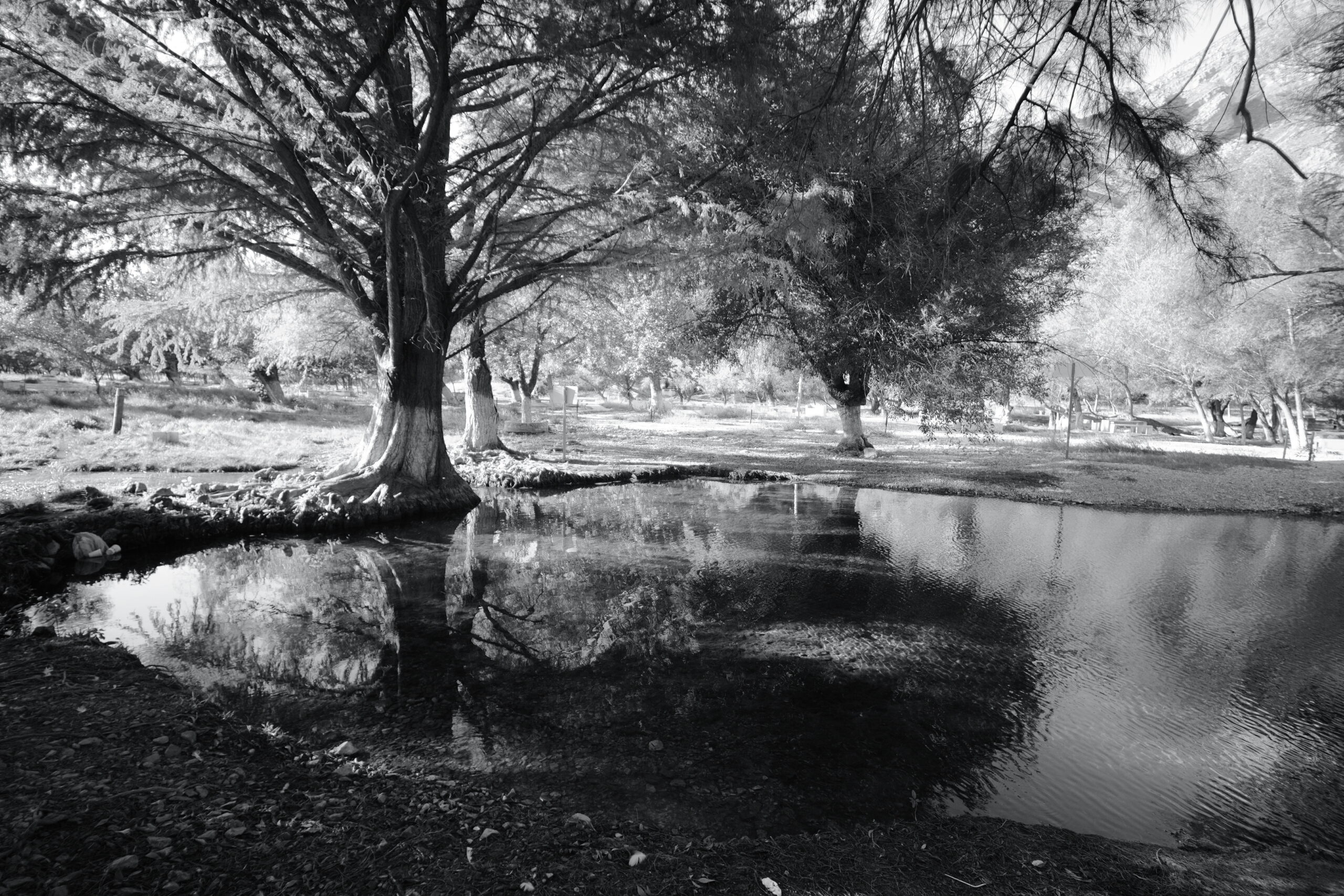 Ojo de agua San Lorenzo