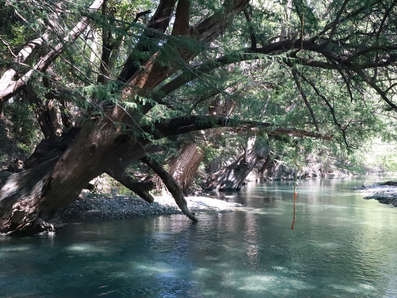 Ojo de agua Sabinas Hidalgo