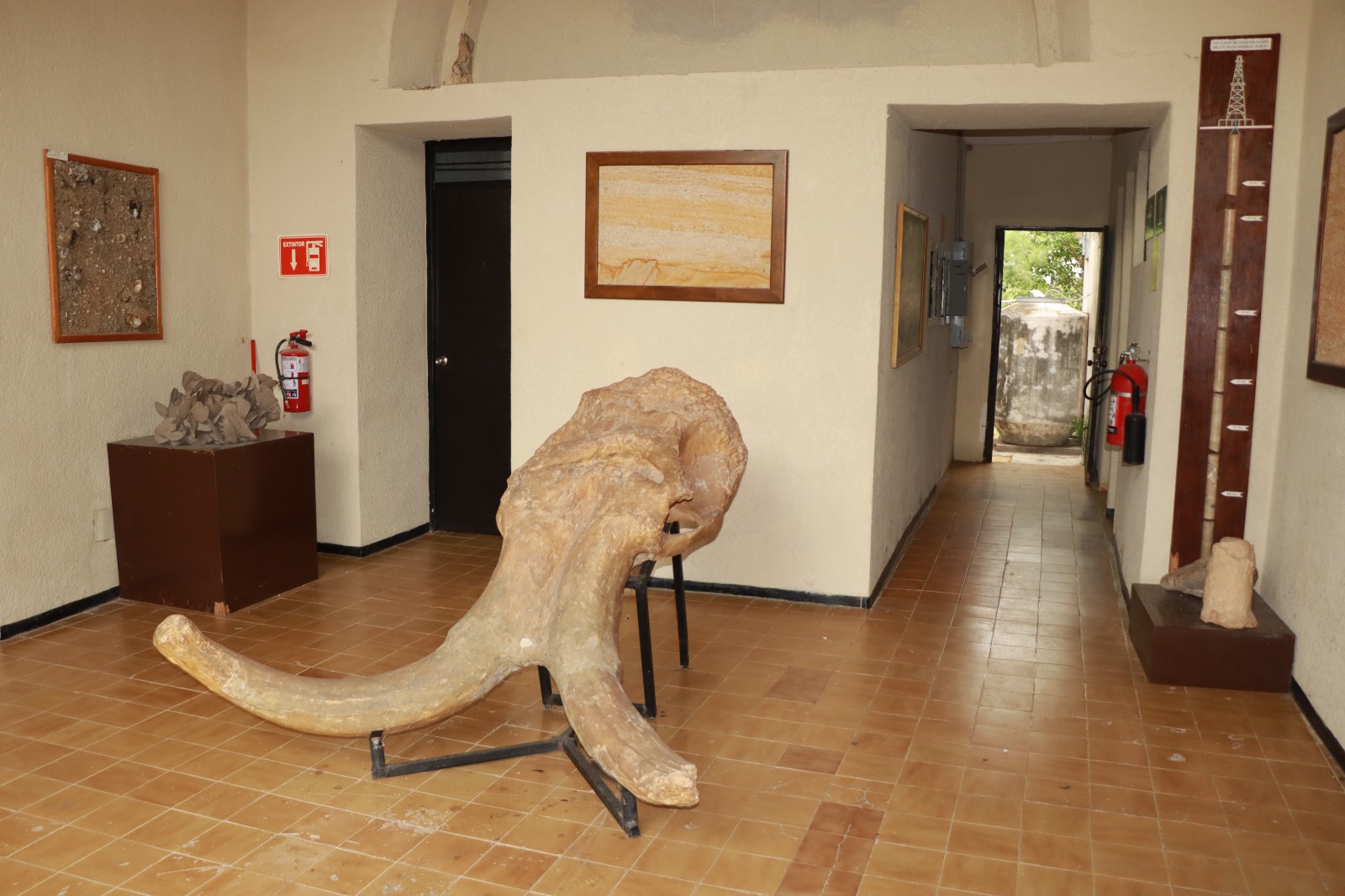 Facultad de Ciencias de la Tierra-LINARES NL